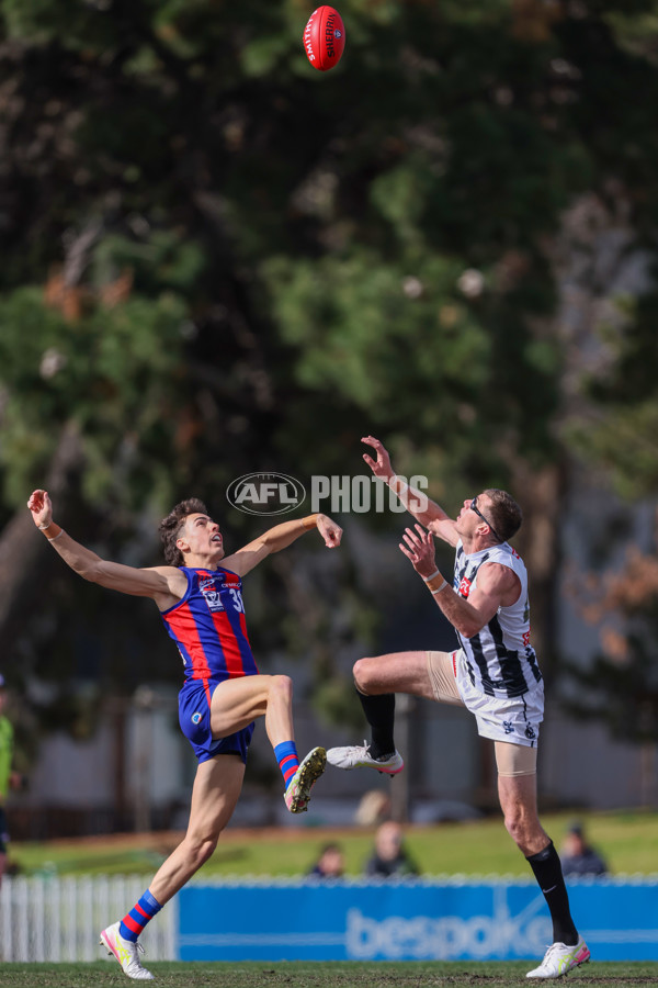 VFL 2025 Round 21 - Port Melbourne v Collingwood - A-61434722