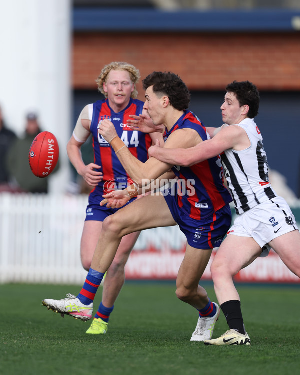 VFL 2025 Round 21 - Port Melbourne v Collingwood - A-61434733