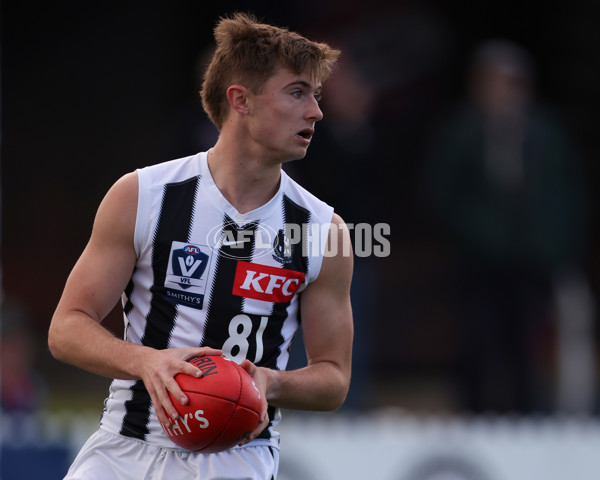 VFL 2025 Round 21 - Port Melbourne v Collingwood - A-61434750