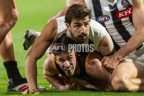 AFL 2025 Round 23 - Adelaide v Collingwood - A-61435086