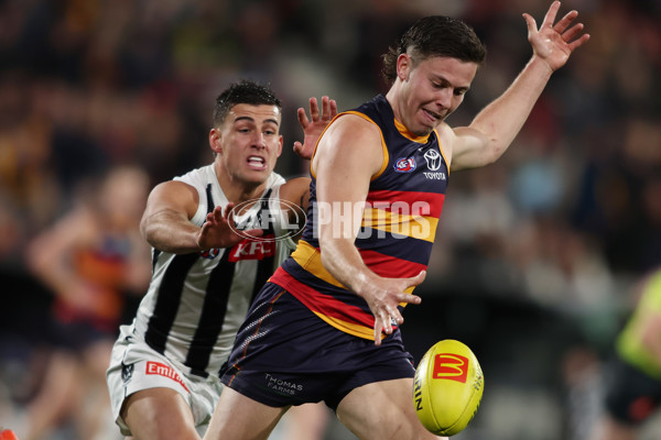 AFL 2025 Round 23 - Adelaide v Collingwood - A-61435094