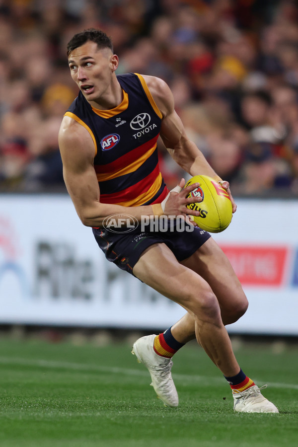 AFL 2025 Round 23 - Adelaide v Collingwood - A-61435095