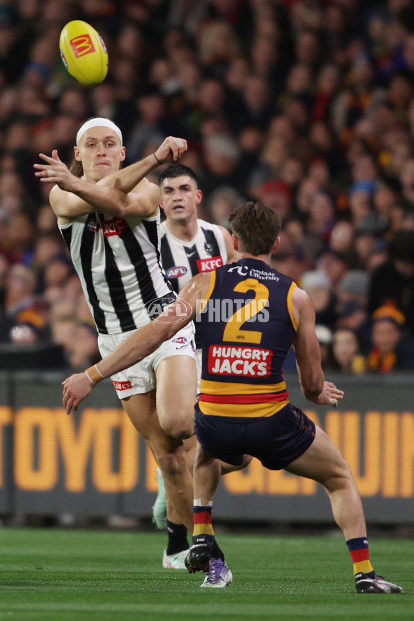 AFL 2025 Round 23 - Adelaide v Collingwood - A-61435096