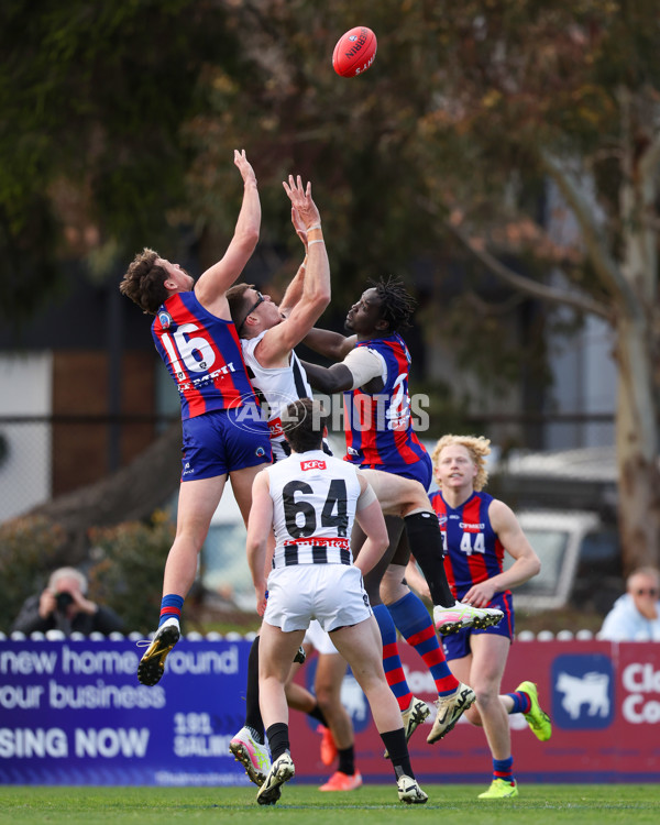 VFL 2025 Round 21 - Port Melbourne v Collingwood - A-61435109
