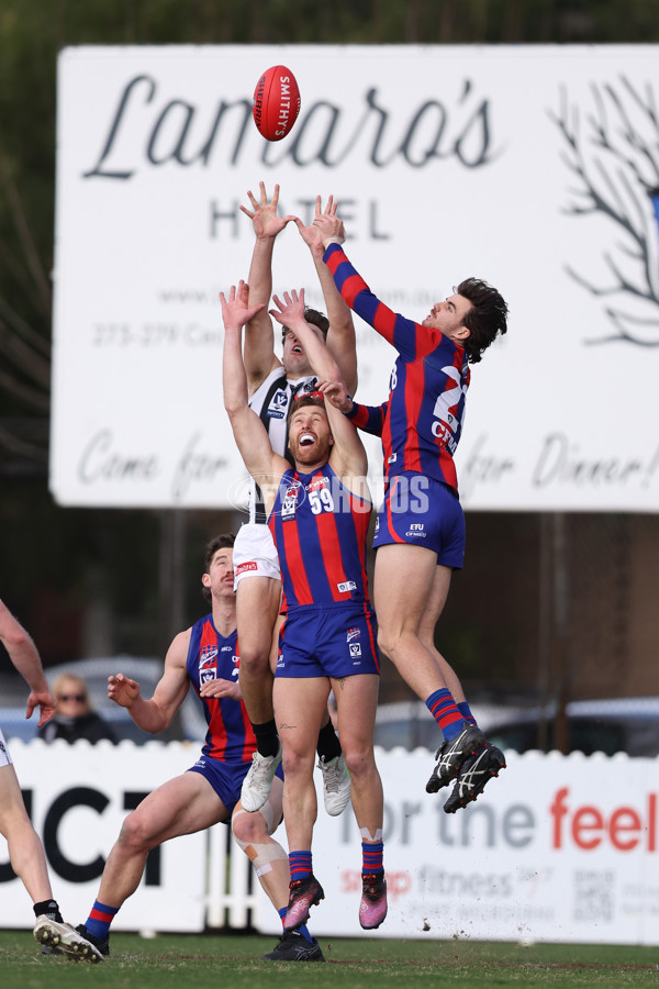 VFL 2025 Round 21 - Port Melbourne v Collingwood - A-61435115