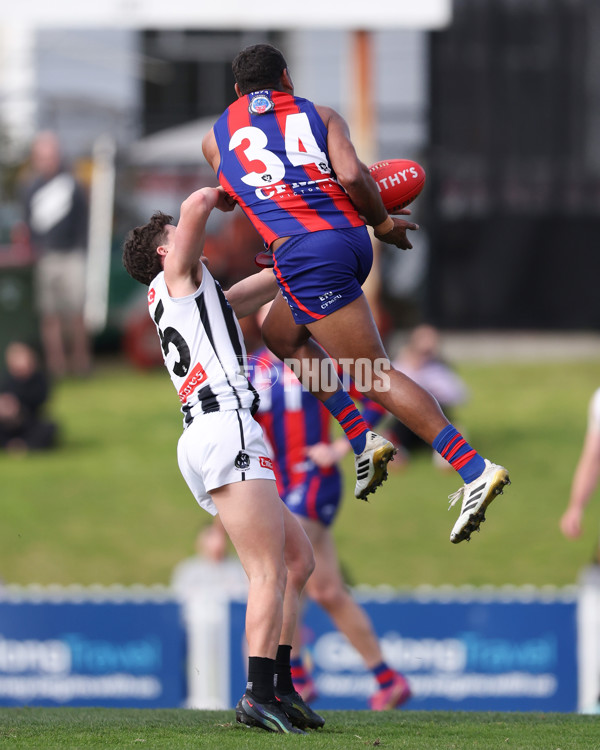 VFL 2025 Round 21 - Port Melbourne v Collingwood - A-61435132