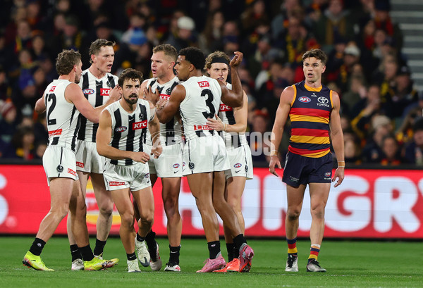 AFL 2025 Round 23 - Adelaide v Collingwood - A-61435141