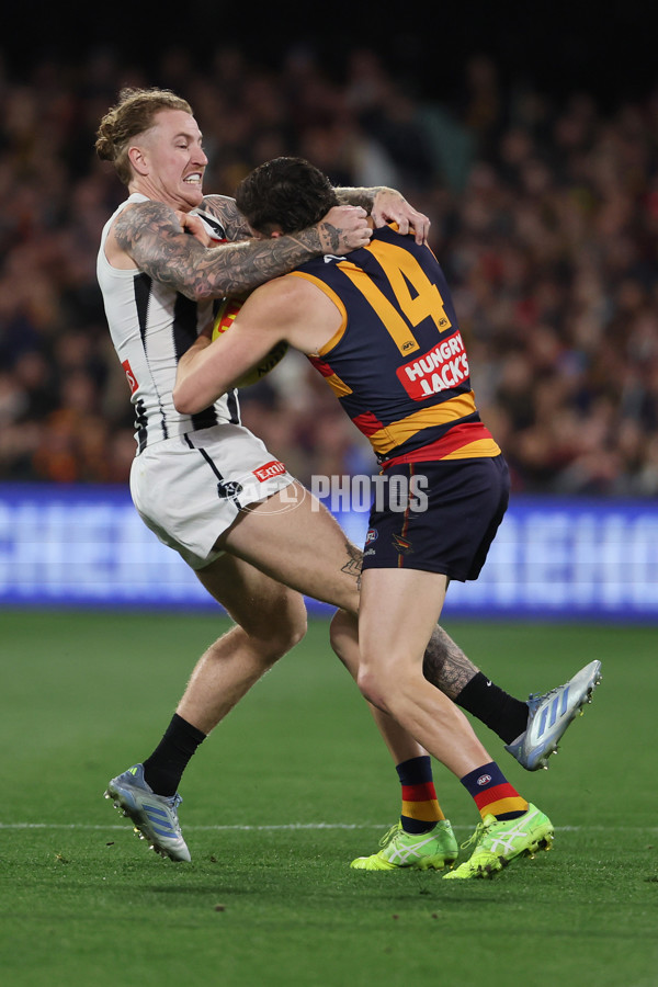 AFL 2025 Round 23 - Adelaide v Collingwood - A-61437226