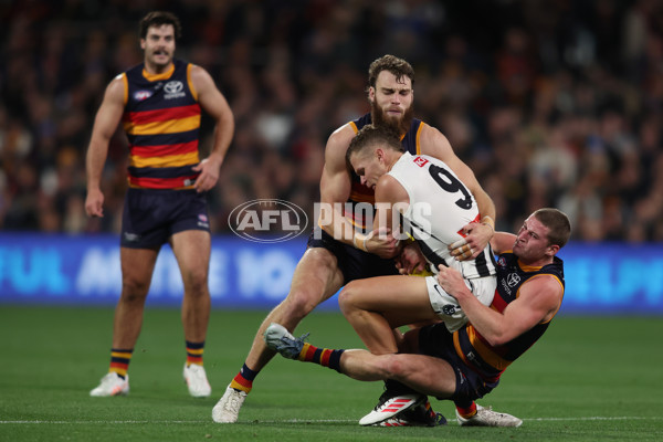 AFL 2025 Round 23 - Adelaide v Collingwood - A-61437238