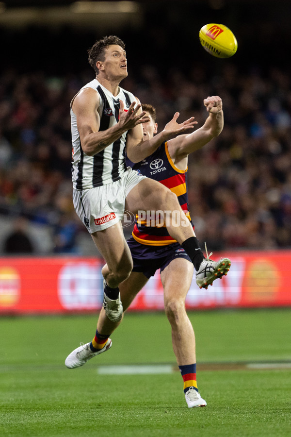 AFL 2025 Round 23 - Adelaide v Collingwood - A-61437259
