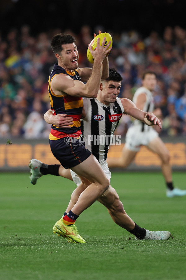 AFL 2025 Round 23 - Adelaide v Collingwood - A-61437279