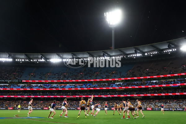 AFL 2025 Round 23 - Hawthorn v Melbourne - A-61437286