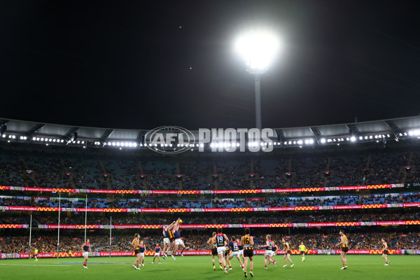 AFL 2025 Round 23 - Hawthorn v Melbourne - A-61437287