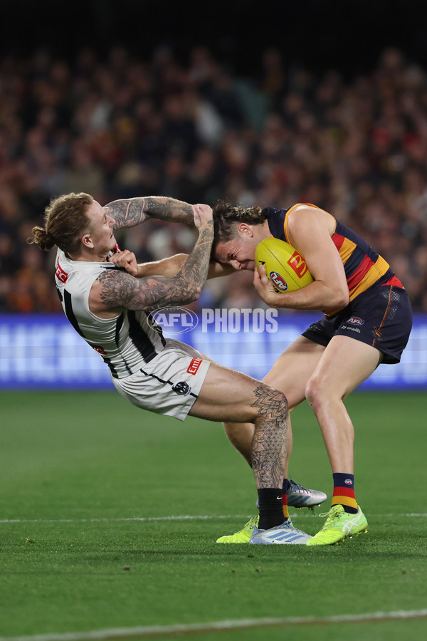 AFL 2025 Round 23 - Adelaide v Collingwood - A-61437910