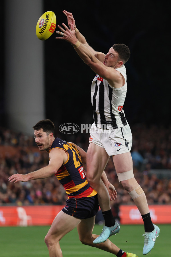 AFL 2025 Round 23 - Adelaide v Collingwood - A-61437911