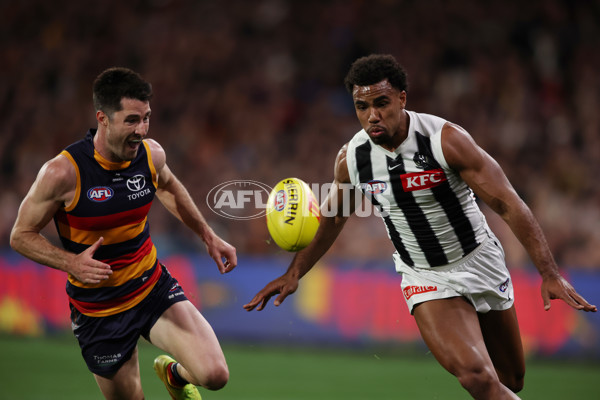 AFL 2025 Round 23 - Adelaide v Collingwood - A-61437924