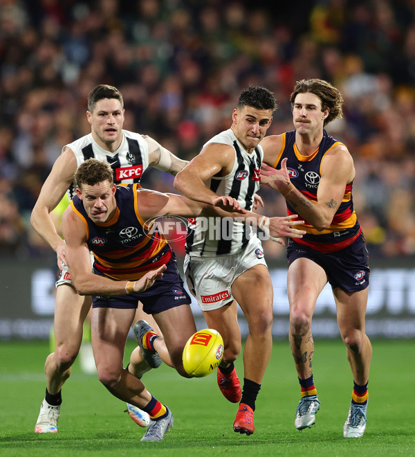 AFL 2025 Round 23 - Adelaide v Collingwood - A-61437941