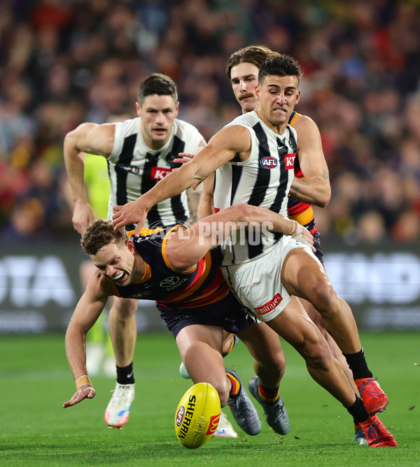AFL 2025 Round 23 - Adelaide v Collingwood - A-61437944