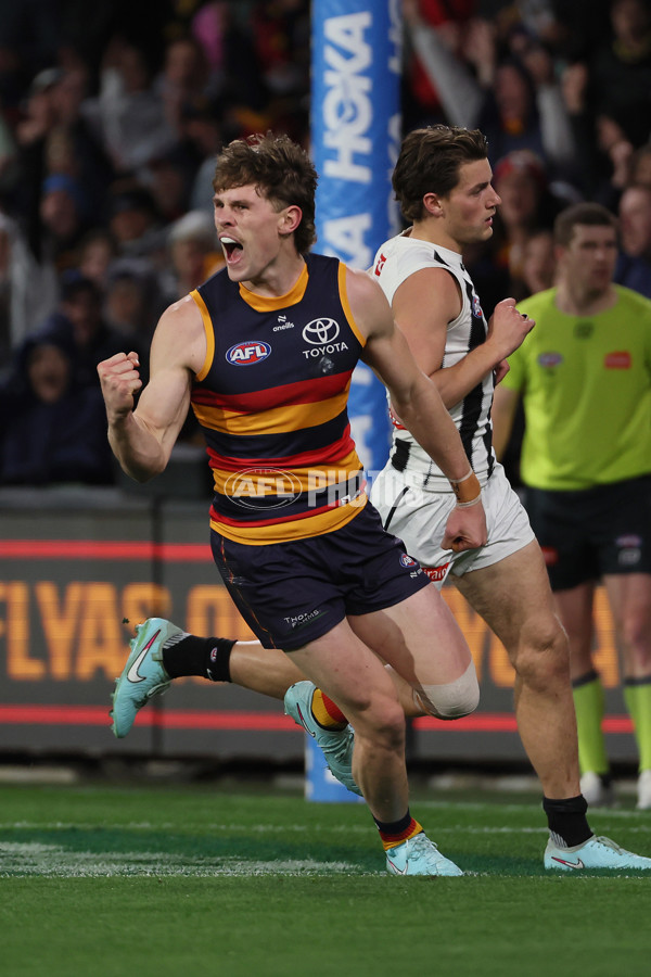 AFL 2025 Round 23 - Adelaide v Collingwood - A-61437955