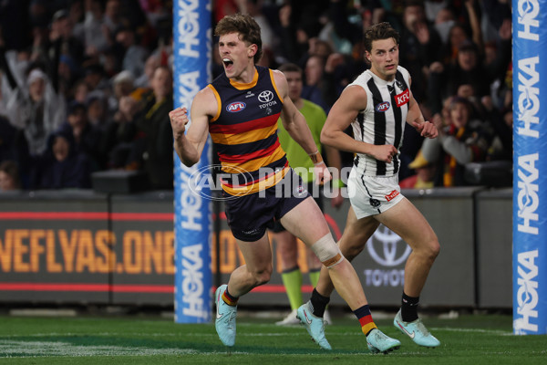 AFL 2025 Round 23 - Adelaide v Collingwood - A-61437956