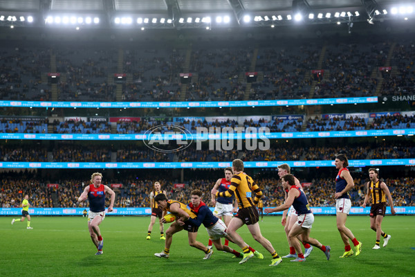 AFL 2025 Round 23 - Hawthorn v Melbourne - A-61437984