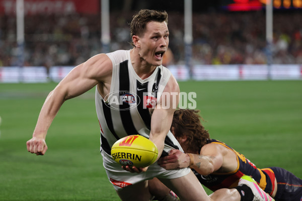 AFL 2025 Round 23 - Adelaide v Collingwood - A-61437990
