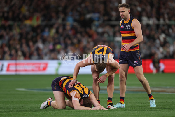 AFL 2025 Round 23 - Adelaide v Collingwood - A-61439825