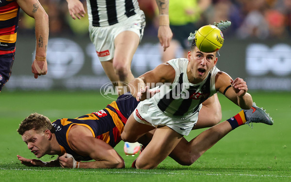 AFL 2025 Round 23 - Adelaide v Collingwood - A-61439843