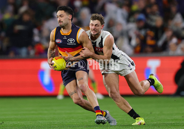 AFL 2025 Round 23 - Adelaide v Collingwood - A-61439846