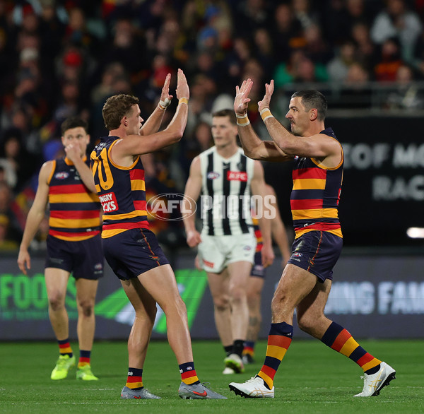 AFL 2025 Round 23 - Adelaide v Collingwood - A-61439852