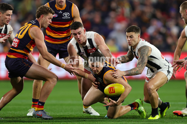 AFL 2025 Round 23 - Adelaide v Collingwood - A-61439856