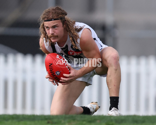 VFL 2025 Round 21 - Port Melbourne v Collingwood - A-61439864
