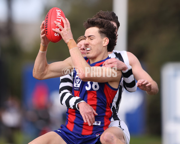 VFL 2025 Round 21 - Port Melbourne v Collingwood - A-61439868