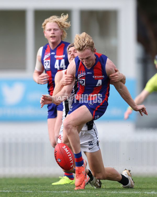 VFL 2025 Round 21 - Port Melbourne v Collingwood - A-61439870