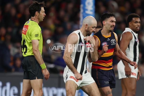 AFL 2025 Round 23 - Adelaide v Collingwood - A-61439892