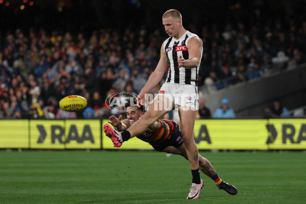AFL 2025 Round 23 - Adelaide v Collingwood - A-61440427
