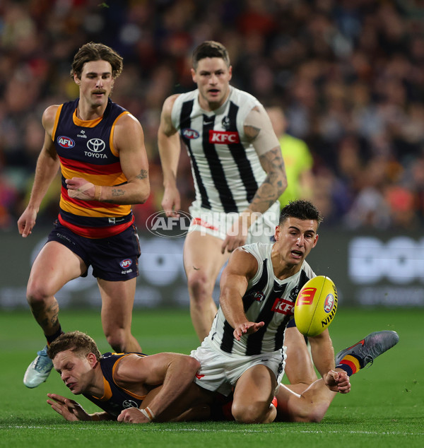 AFL 2025 Round 23 - Adelaide v Collingwood - A-61440428