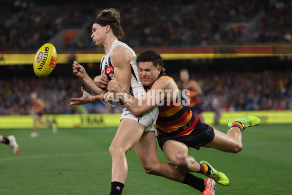 AFL 2025 Round 23 - Adelaide v Collingwood - A-61440429