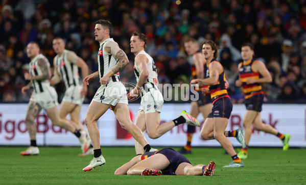 AFL 2025 Round 23 - Adelaide v Collingwood - A-61440438