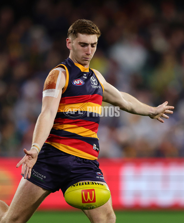 AFL 2025 Round 23 - Adelaide v Collingwood - A-61440453