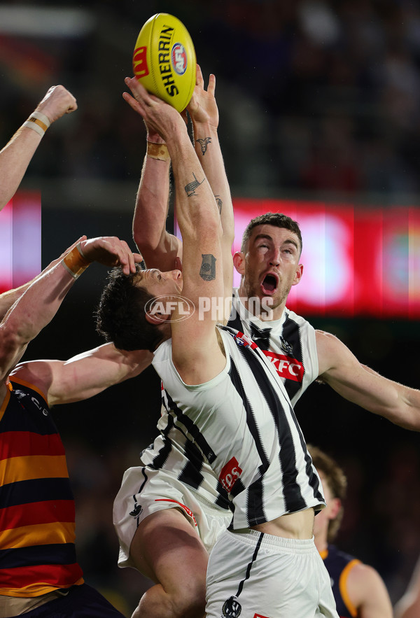 AFL 2025 Round 23 - Adelaide v Collingwood - A-61440455