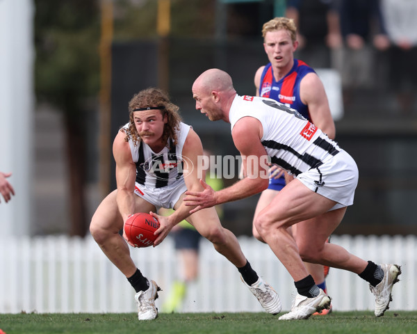 VFL 2025 Round 21 - Port Melbourne v Collingwood - A-61440458