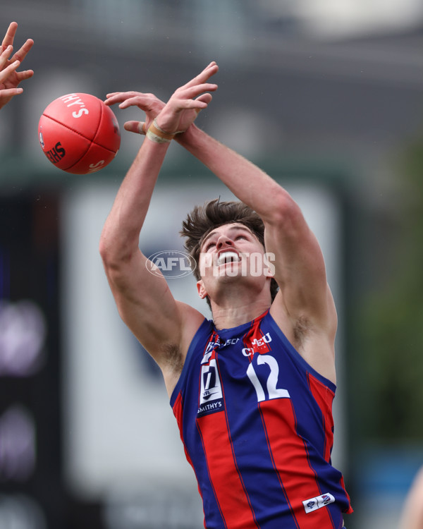 VFL 2025 Round 21 - Port Melbourne v Collingwood - A-61440462