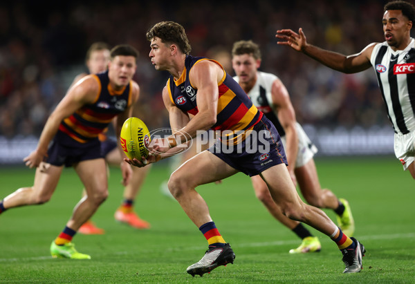 AFL 2025 Round 23 - Adelaide v Collingwood - A-61440468