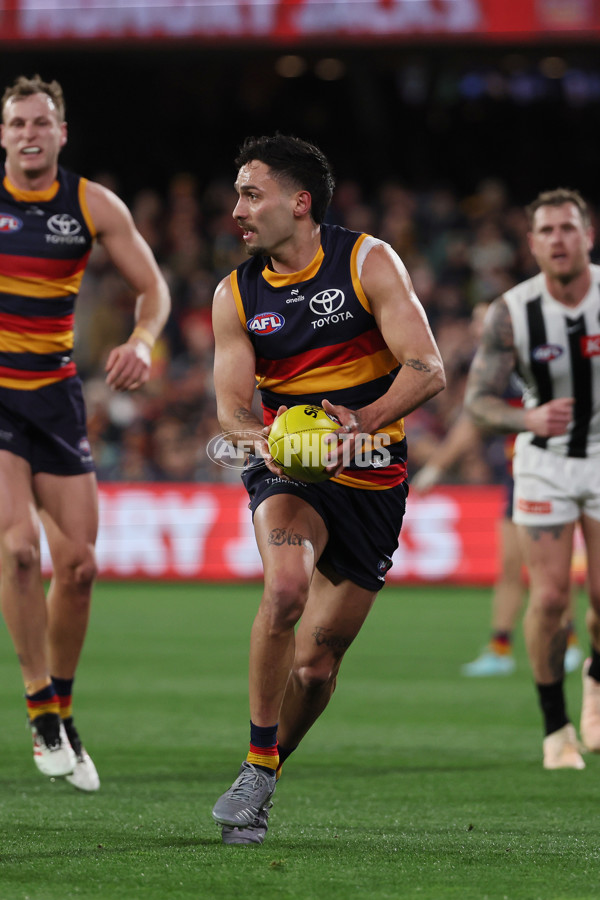 AFL 2025 Round 23 - Adelaide v Collingwood - A-61440489