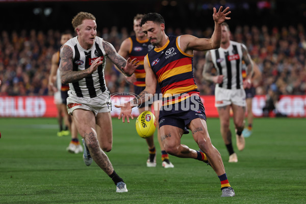 AFL 2025 Round 23 - Adelaide v Collingwood - A-61440494