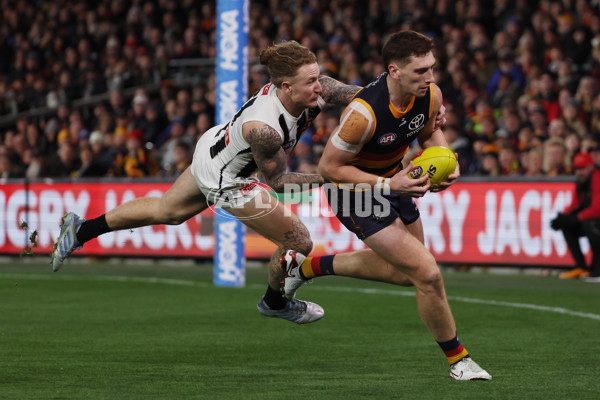 AFL 2025 Round 23 - Adelaide v Collingwood - A-61442345