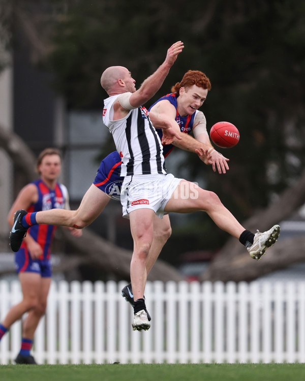 VFL 2025 Round 21 - Port Melbourne v Collingwood - A-61442365