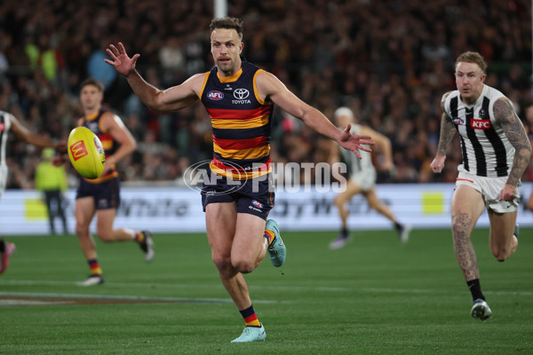 AFL 2025 Round 23 - Adelaide v Collingwood - A-61442383