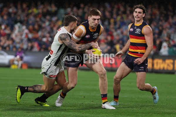 AFL 2025 Round 23 - Adelaide v Collingwood - A-61442394